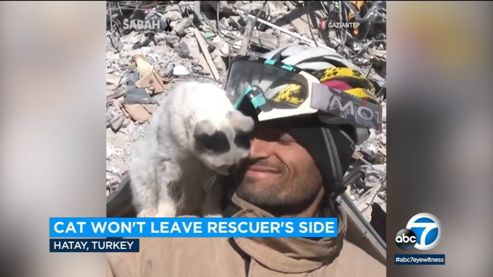 Terremoto Turquía-Siria: un bombero turco rescata a un gato atrapado debajo de los escombros;  adoptarlo