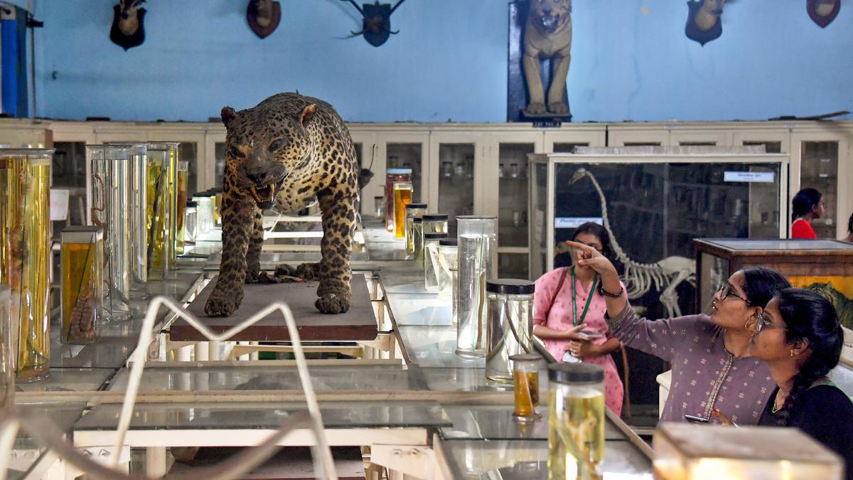 Una iniciativa de ciencia ciudadana en Visakhapatnam busca crear una base de datos sobre biodiversidad