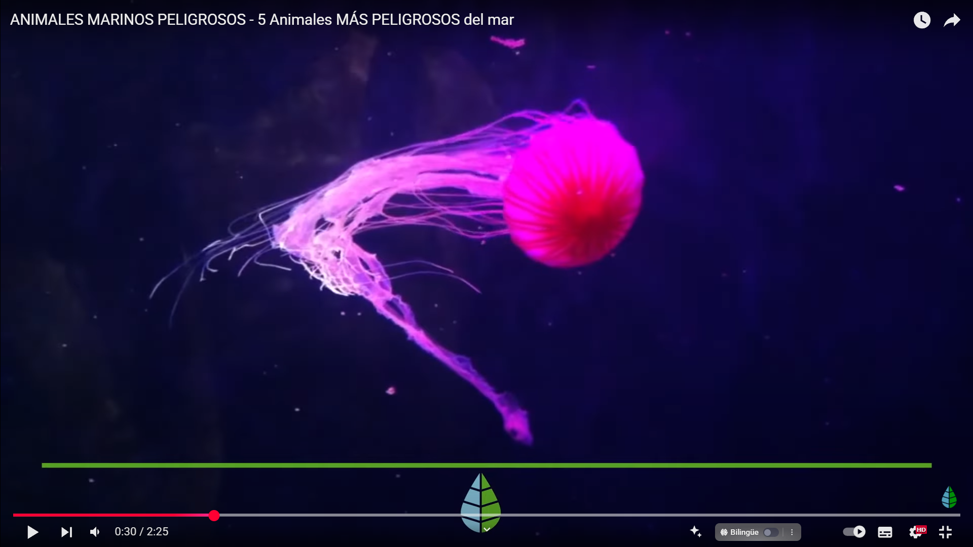 Los 5 Animales Marinos Más Peligrosos del Mundo y Cómo Evitarlos