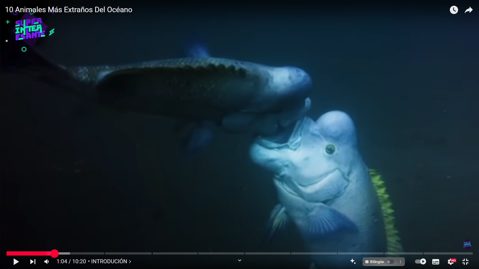 10 Criaturas Marinas Reales Tan Extrañas Que Parecen Sacadas de una Película de Terror