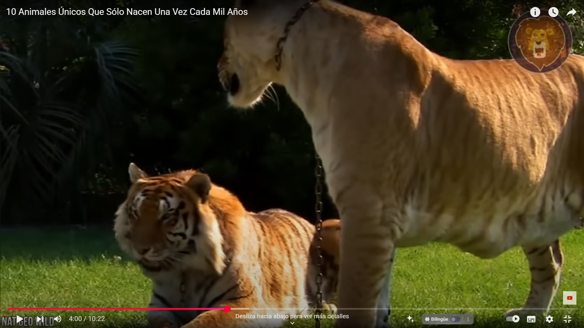 10 Animales que Solo Nacen Cada Mil Años: Criaturas Tan Extrañas como Reales